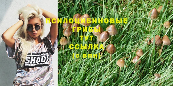 гидра Балабаново