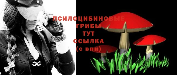 ешки Балахна