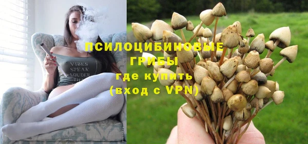 гидра Балабаново
