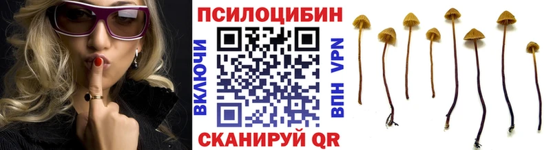 Галлюциногенные грибы MAGIC MUSHROOMS Пересвет