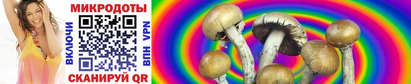 Галлюциногенные грибы Magic Shrooms Пересвет